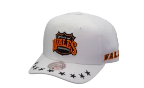 2024 NHL All Star Mitchell & Ness Men's Wales Vintage Snapback