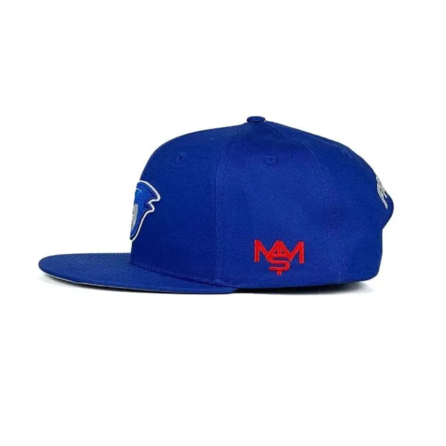 Fresh Jays - Royal Blue Snapback Cap