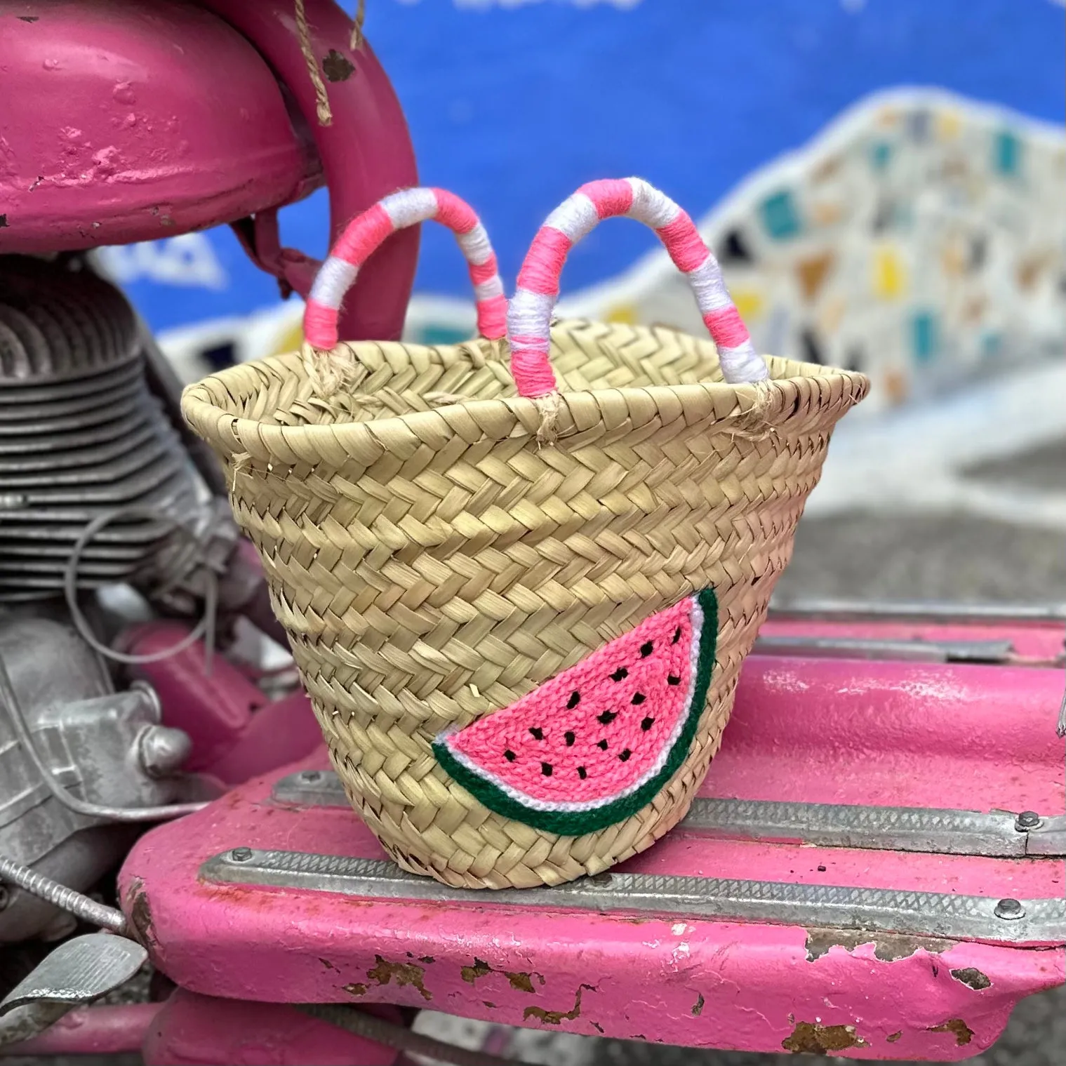 Watermelon Straw Frutta Bag